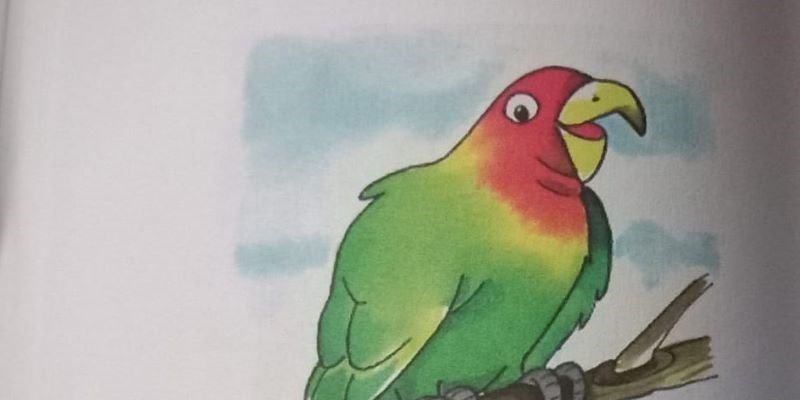 Il pappagallo rapito
di Francesca Panzacchi