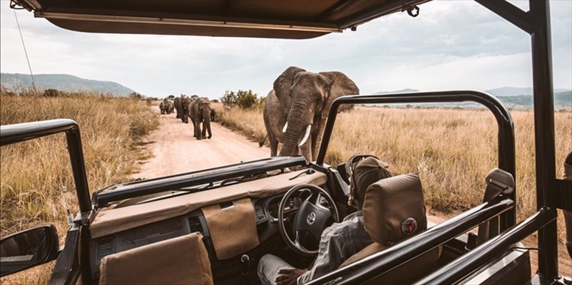 Safari in Africa: cos è e perché è un esperienza unica