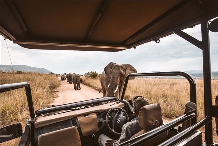 safari in africa esperienza