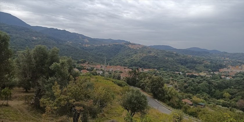Vallo della Lucania, Novi Velia e Cannalonga